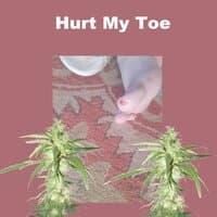 Hurt My Toe