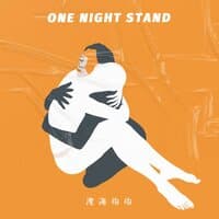 One Night Stand