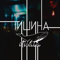 Тишина