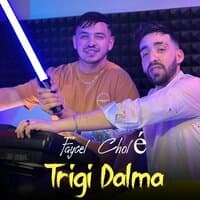 Trigi Dalma