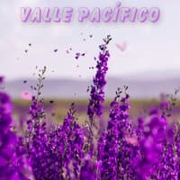 Valle Pacífico