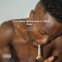 The Seed Becoming a Tree, Pt. 1