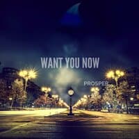 Want You Now