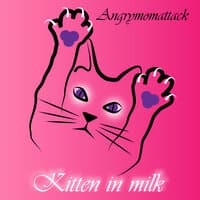 Kitten in the milk