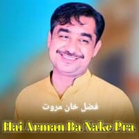 Hai Arman Ba Nake Pra