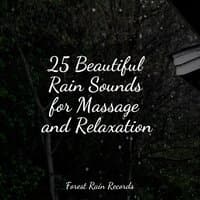 25 Beautiful Rain Sounds for Massage and Relaxation