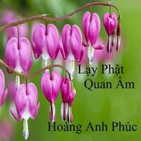 Lạy Phật Quan Âm 2