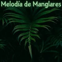 Melodía de Manglares