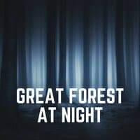 Great Forest at Night