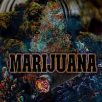 Marijuana