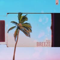 breeze