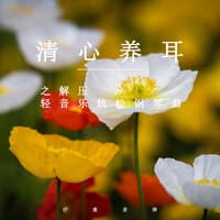 清心养耳之解压轻音乐放松钢琴曲