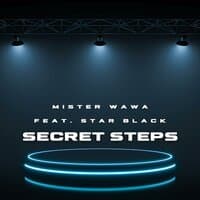 SECRET STEPS