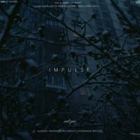 Impulse