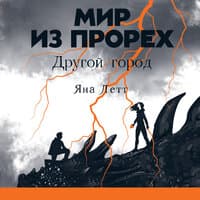 Яна Летт. «Мир из прорех. Другой город»