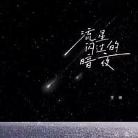 流星闪过的暗夜