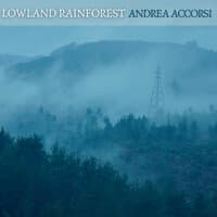 Lowland Rainforest