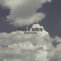 Nube Gris