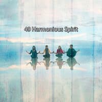 49 Harmonious Spirit