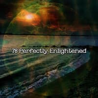 78 Perfectly Enlightened