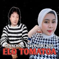 Elo Tomatoa