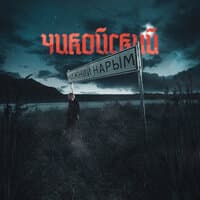 Нижний Нарым