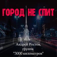 Город не спит