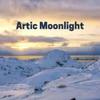 Artic Moonlight