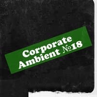 Corporate Ambient №18