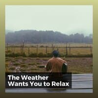 The Weather Wants You to Relax