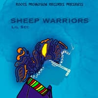 Sheep Warriors