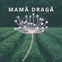 Mama Draga