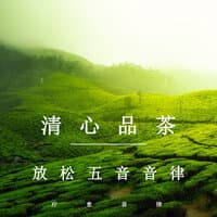 清心品茶放松五音音律