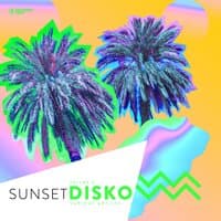 Sunset Disko, Vol. 8