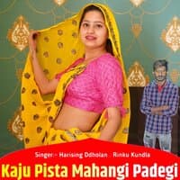 Kaju Pista Mahangi Padegi