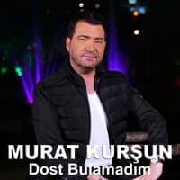 Dost Bulamadım