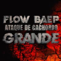 Flow Baep Ataque de Cahorro Grande