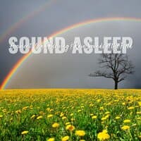 Sound Asleep: Ambient Wind Blowing & Rain Sounds at the Field