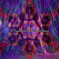 57 Ambience To Inspire Sleep