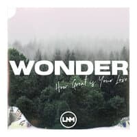 Wonder (How Great Is Your Love)