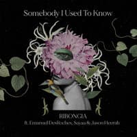 Somebody That I Used To Know