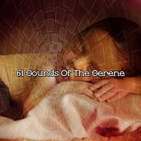 61 Sounds Of The Serene