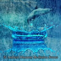 25 Ambient Harmony Meditation Storms