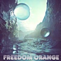 Freedom Orange