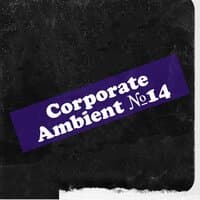 Corporate Ambient №14