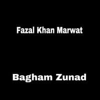 Bagham Zunad