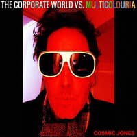 The Corporate World vs. Multicolouria