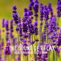 The Sound of Relax