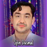 Spin Dusmal