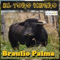 El Toro Negro